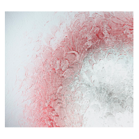 Pelerine Pattern Glazing