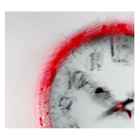 Sycamore Pattern Glazing